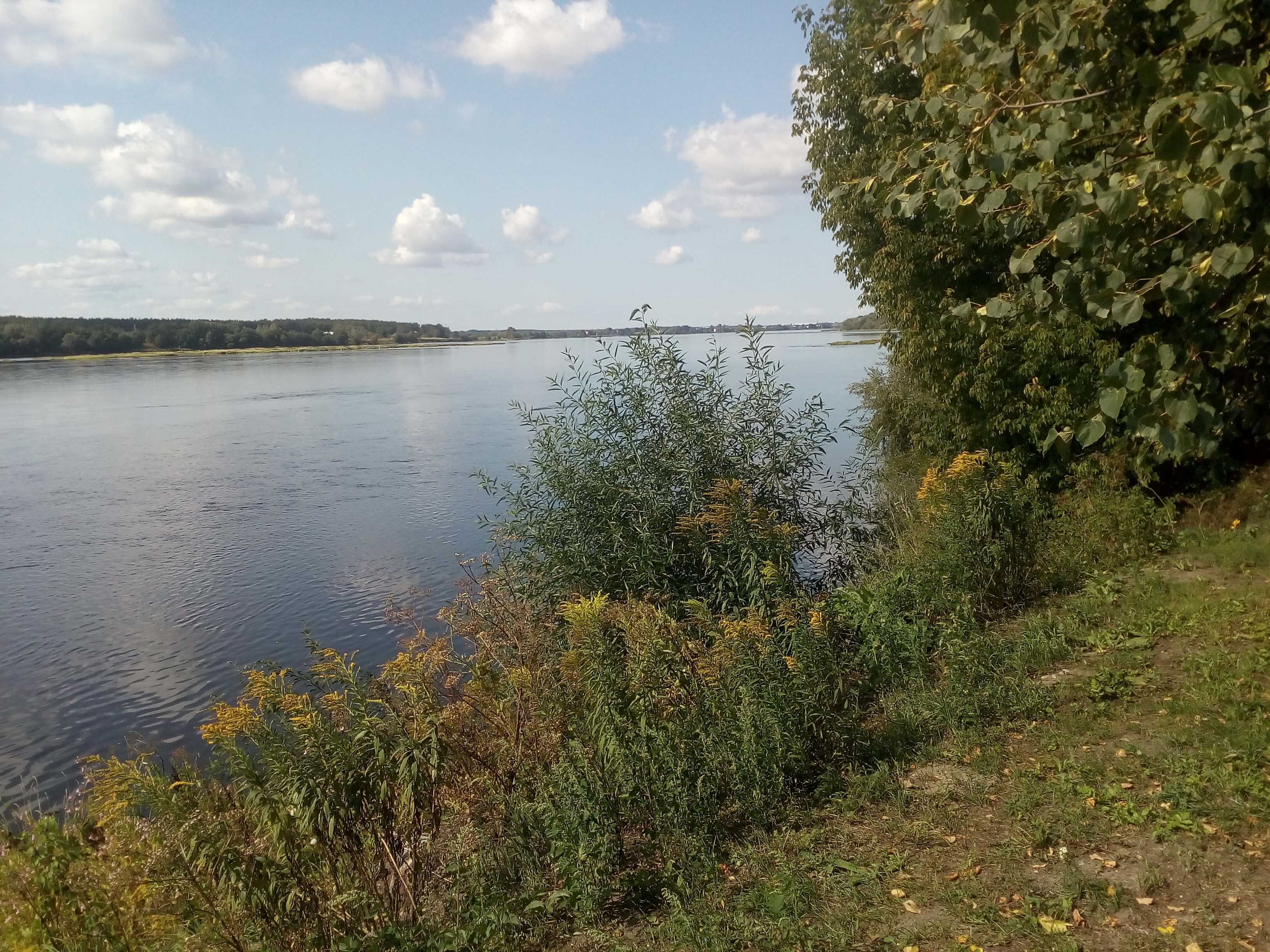 Daugava