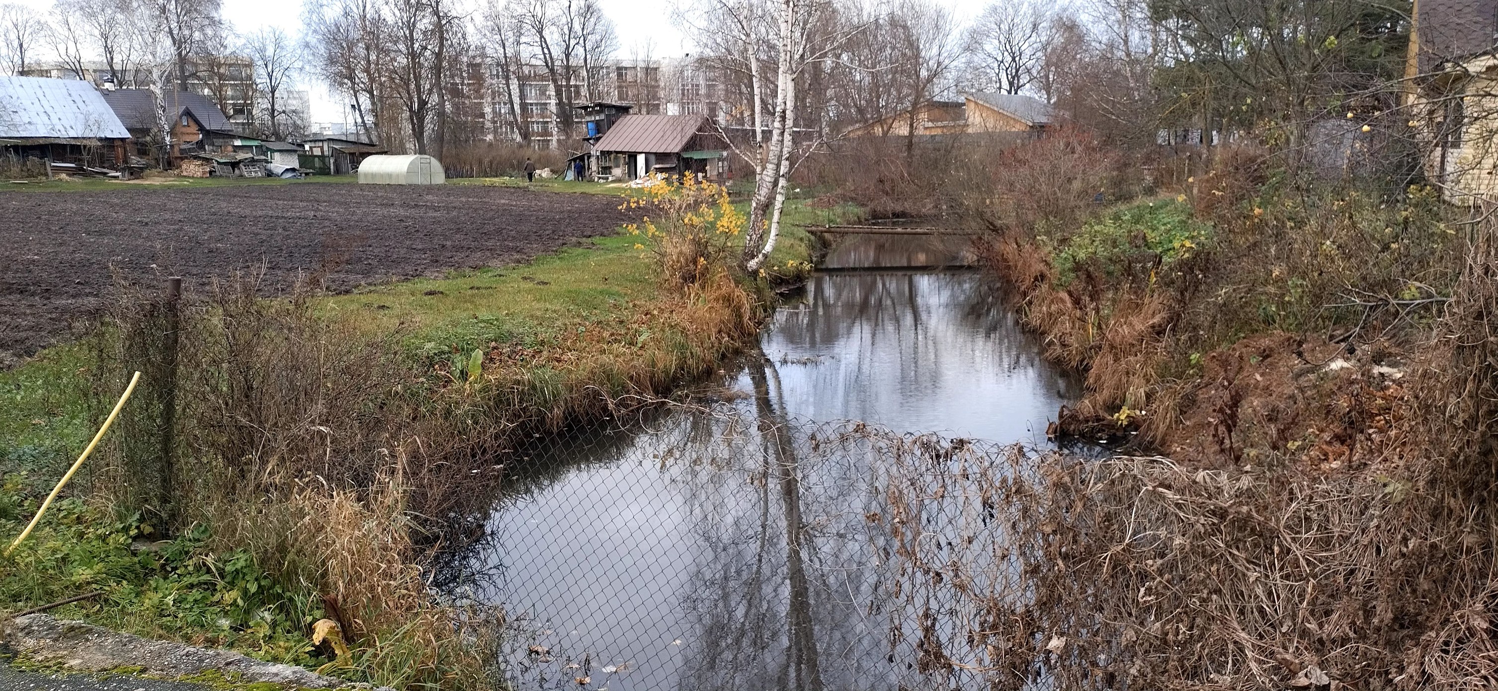 dreiliņupīte