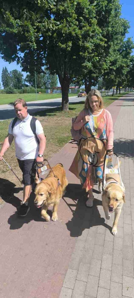 Vīrietis un sieviete iet kopā ar 2 gaiši brūnas krāsas suņiem-pavadoņiem pa pelēki sarkanu bruģētu ietvi
